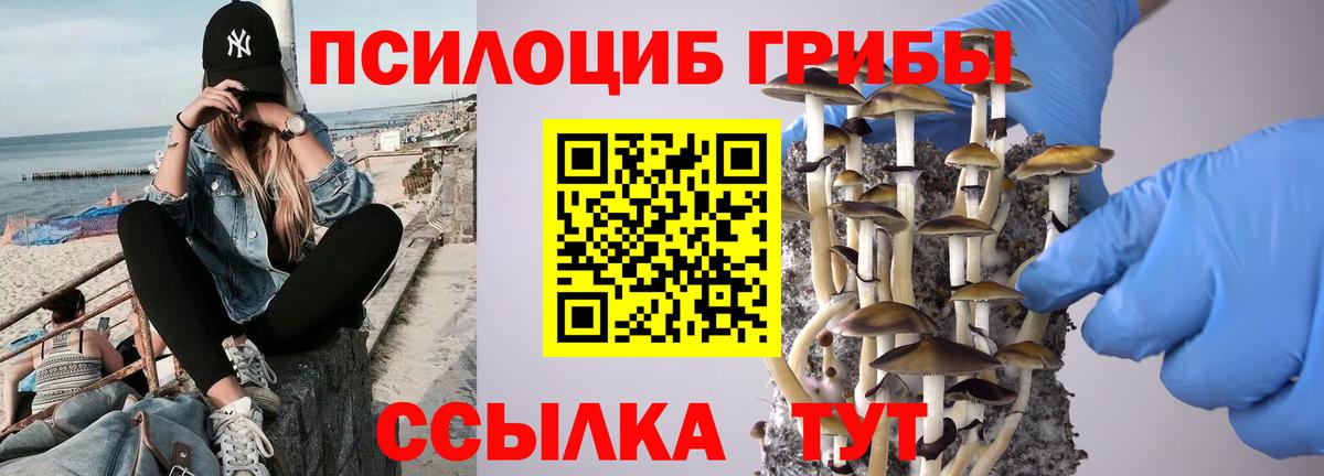 Псилоцибиновые грибы Magic Shrooms Обнинск