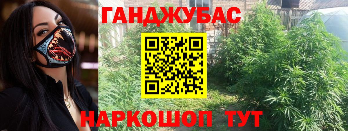 Конопля планчик Обнинск